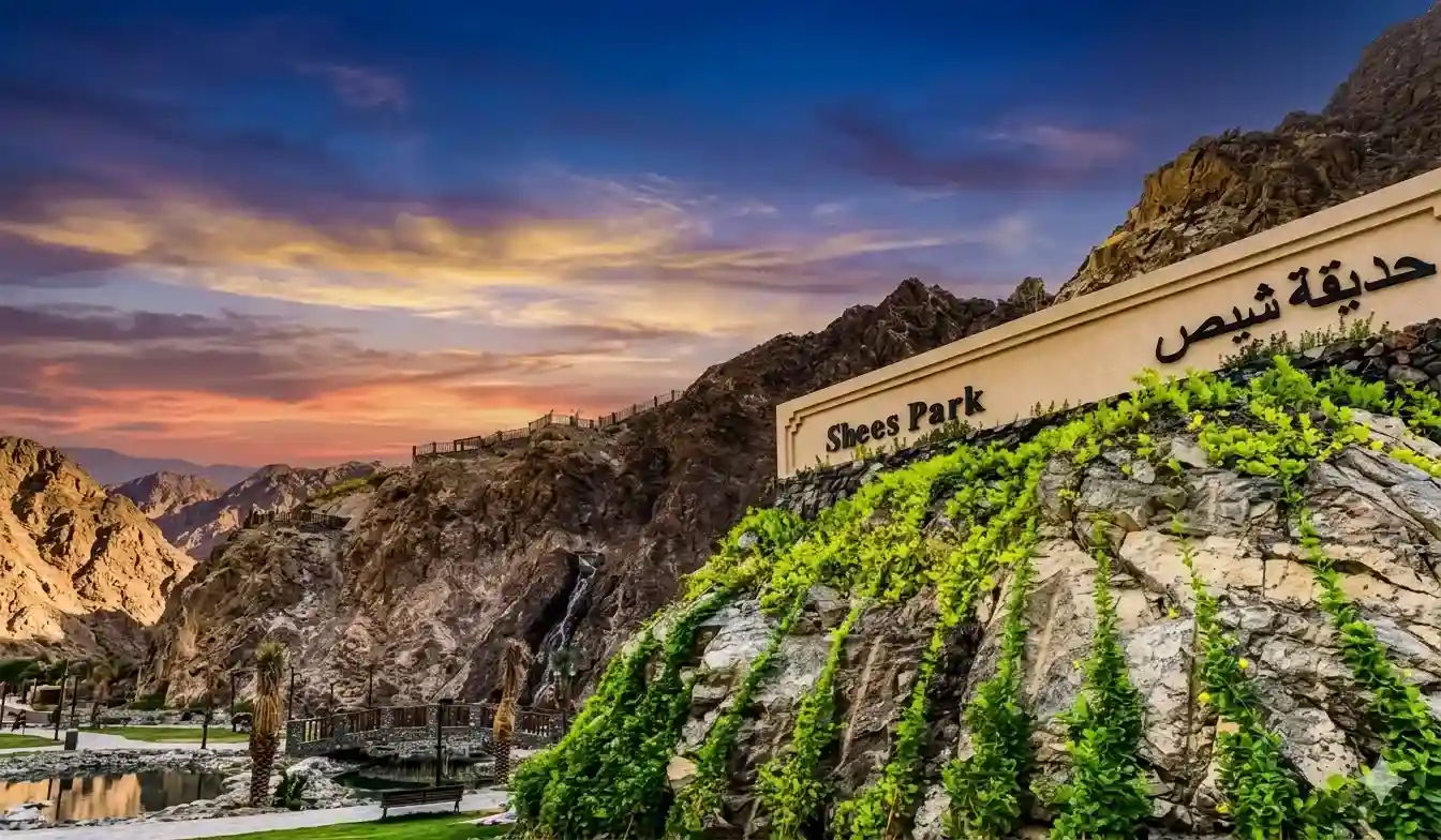 Khorfakkan Half Day Tour